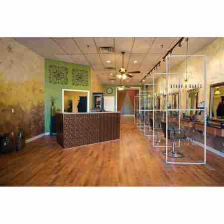 Modulate Sneeze Guards Salon Lg