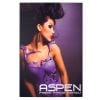 Aspen Single Slim Fabric Frame 2 X 3 Graphic Package 1
