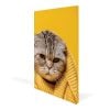 Canvas Frame 01