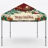 10 ft Church Canopy Tent For Christmas Style 5